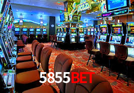 Casino Ao Vivo 5855bet